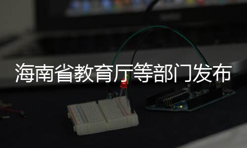 校园平安保卫等费用