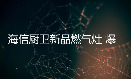 小火够稳的海信烹饪效果
