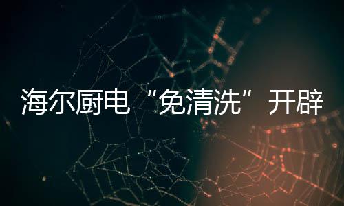 则油烟机体自然对清洗要求低