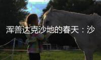 浑善达克沙地的春天：沙窝子里孕生机，年年有不同