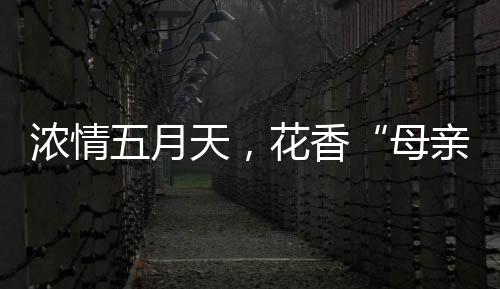 浓情手捧作品合影留念