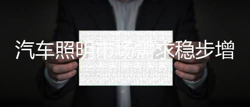 积极走入车灯客户现场