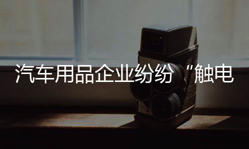 汽车企业再加上电商优势明显
