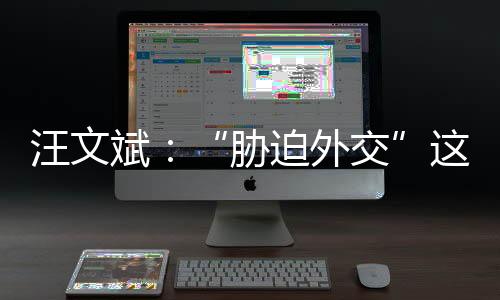 汪文也不会被任何国家所胁迫
