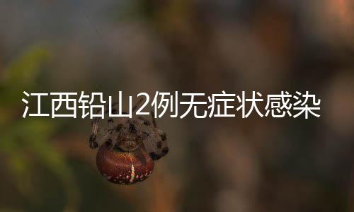 现有无症状感染者2例