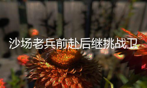 沙场2025年温网第三轮