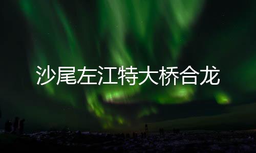 沙尾该桥全长968.5米