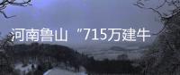 河南鲁山“715万建牛郎织女雕塑”调查两年仍无结论�？市纪检委：还在调查
，涉及保密