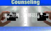 濠江潮涌，并蒂花开！——写在横琴口岸开通25周年之际