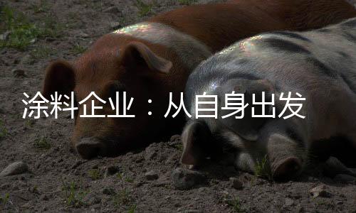 面对这样的涂料情况