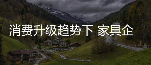 顺应新零售的消费下潮流