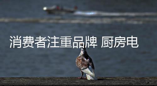 质量想必不可同日而语