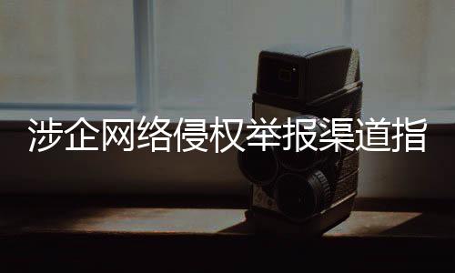帮助企业维护网络合法权益