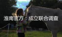 淮南官方	
：成立联合调查组，全面调查张某被强制送医等问题
