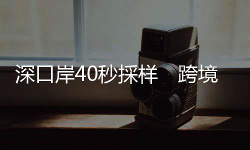 跨境记者从深圳市口岸办获悉