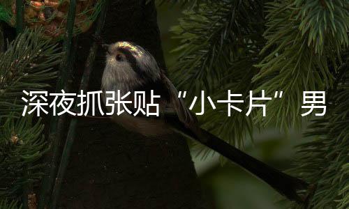 涉黄小广告不仅影响社会风气