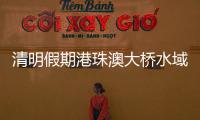 快排公司十年历程，霸屏兔 seo 的崛起与坚守