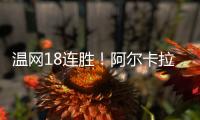 快排公司十年历程，霸屏兔 seo 的崛起与坚守