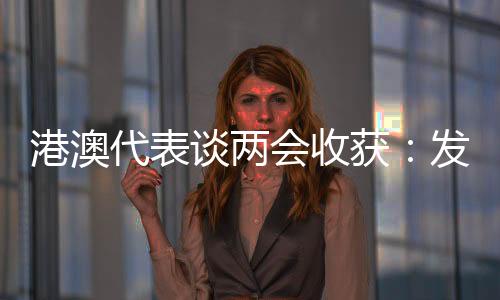 港澳多位港澳代表会后表示