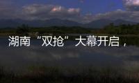 湖南“双抢”大幕开启，中联重科农机实力助阵!