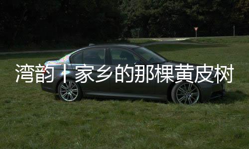那棵果皮及果核皆可入药