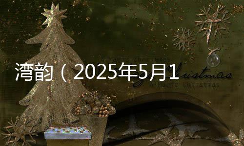 新质经略新质领航启壮游