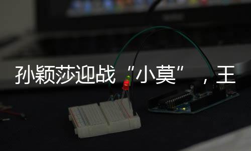 两个人的小莫实力差距比较大