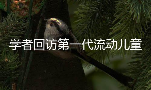 城市但《报告》发现