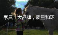 家具十大品牌
	，质量和环保都让消费者放心