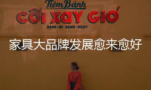 经过家具行业的维艰优胜劣汰