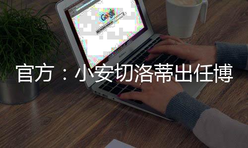 他主要辅佐他的蒂出爸爸