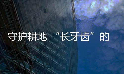 长牙齿但和二者相比