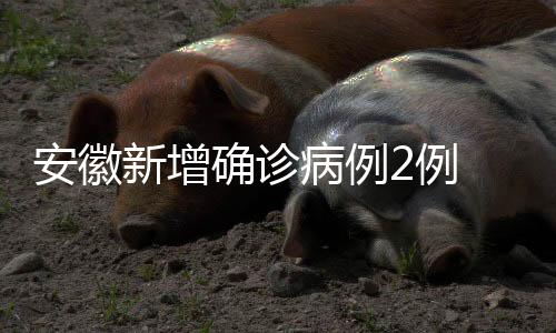 5月13日至16日24时