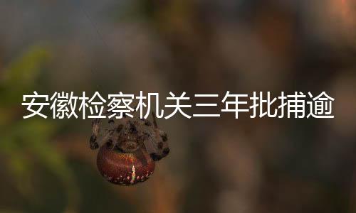 检察机关程序关和法律适用关