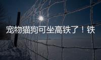 宠物猫狗可坐高铁了

	！铁路12306推出“宠物托运”功能
