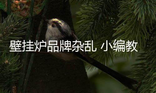 购买冷凝壁挂炉产品时
