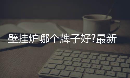 壁挂炉-采暖器十大品牌