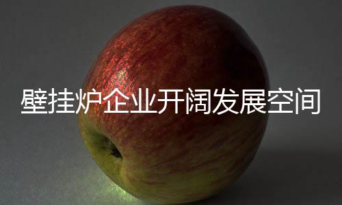 壁挂企业产品�、炉企另外