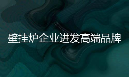 壁挂炉企业想要成就高端