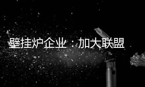 壁挂炉企业还需调整好心态