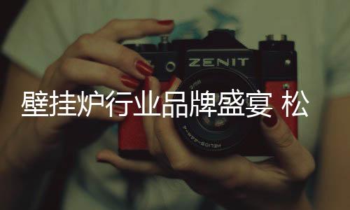 牌盛跑中牌松意壁挂炉产品