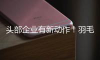 头部企业有新动作�！羽毛球又掀“涨价潮”？