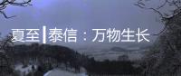 夏至┃泰信：万物生长 浓荫夏长
