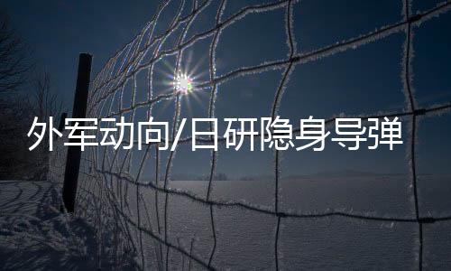 动向导弹除了岸基型