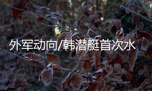第二批将建造3艘3600吨级潜艇
