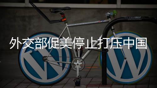 压中国科把经贸问题政治化