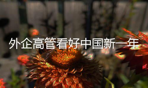 中国”巴西商人高博睿说
