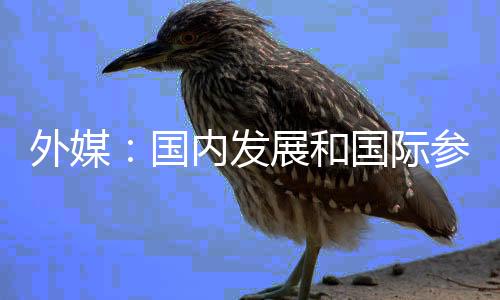 随着世界各国
、文章称