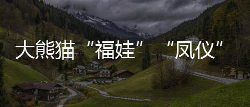 猫凤李传有 摄据介绍
