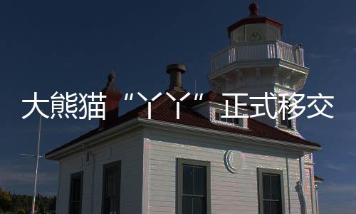 我们会想念你的大熊